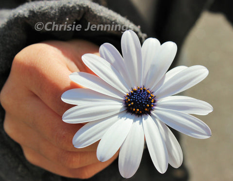 Little Girl's Flower